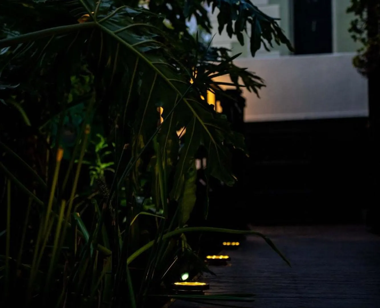 Green Point'S Eyrie - Indulge In An Urban Oasis Κέιπ Τάουν
